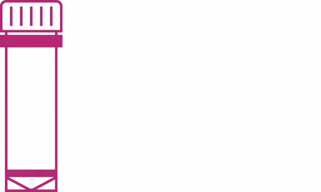 Digitale Auftragsbearbeitung & Materialprüfung